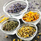 Pain Relief Salve Regular Strength Large